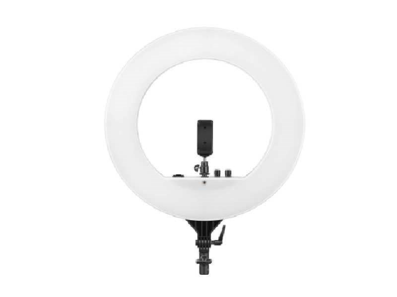 Large Ring Light with Stand