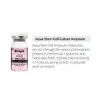 *AUTHENTIC* Stayve Aqua Stem Cell Culture Serum (10 x 8ml)